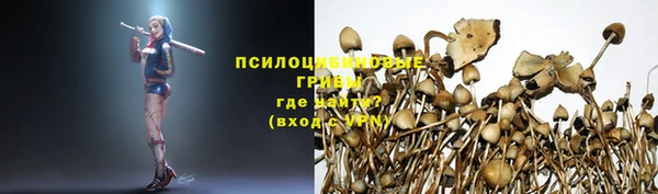 2c-b Переславль-Залесский