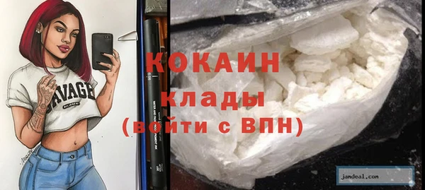 крисы Арсеньев